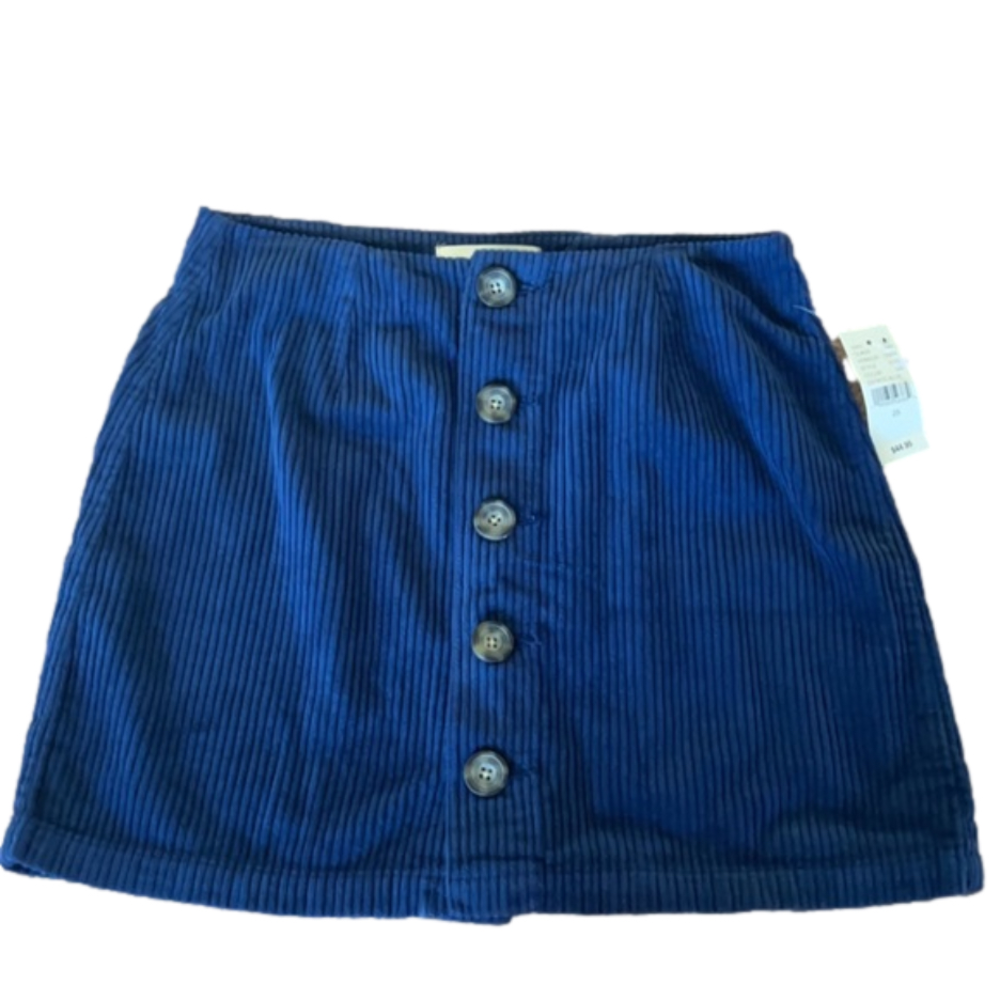 NWT blue corduroy skirt